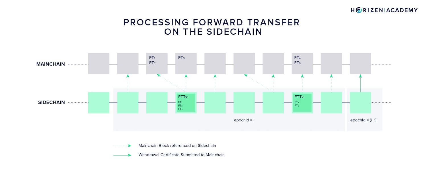 forward transfers sidechains