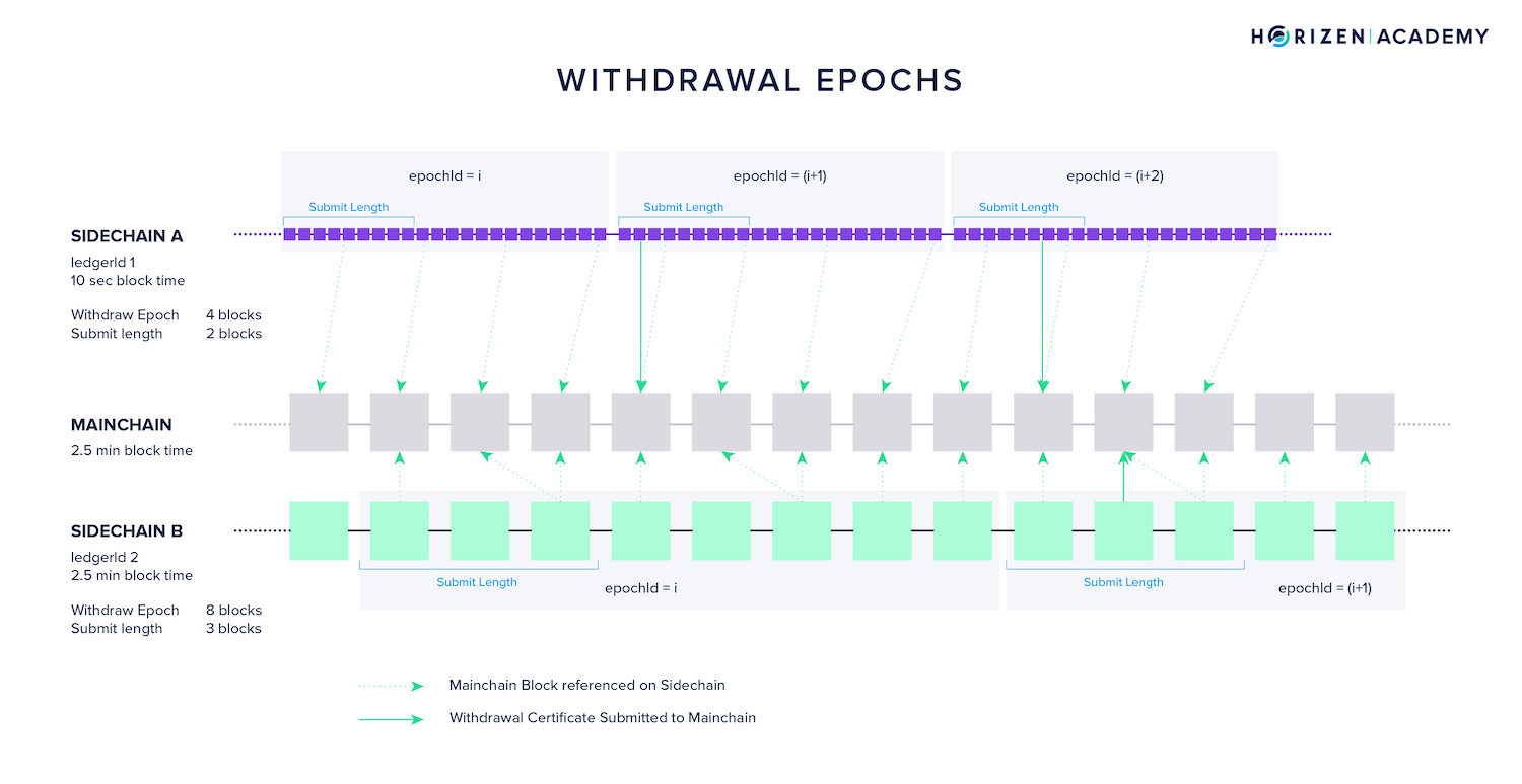 withdrawal epochs