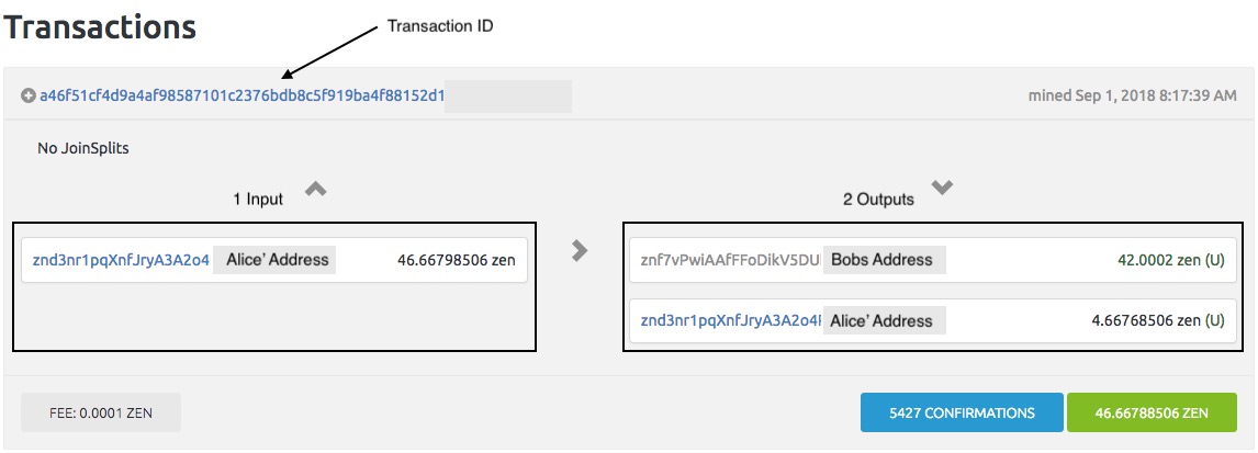 zen explorer transaction id